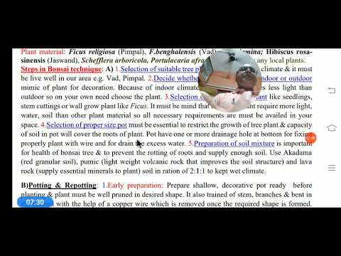 Bonsai Technique: Practical & Theory. 2021/7.