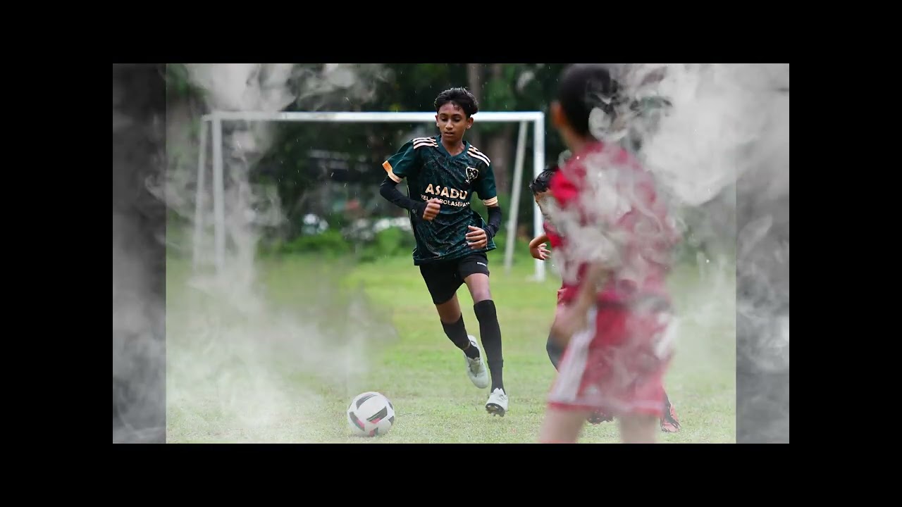 Highlights