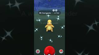 Wild Shiny Charmander | Pokémon GO Community Day 12/23