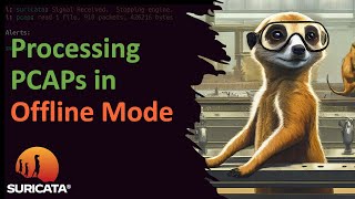06: Suricata PCAP Replay: How-To Analyze Pre-Recorded Network Traffic