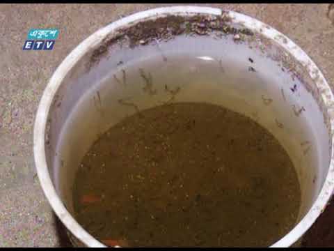 করোনার মধ্যে ডেঙ্গু নিয়ে মহাচ্যালেঞ্জ রাজধানীতে