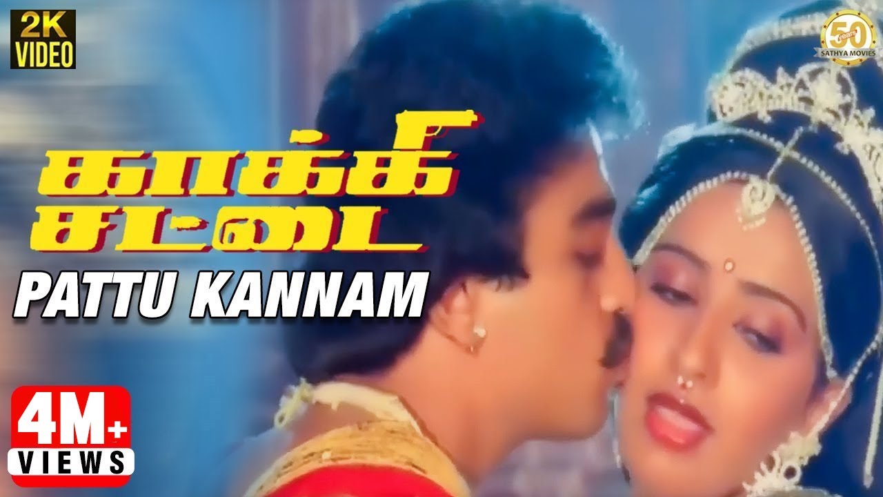 Pattu Kannam Song Lyrics | Kaakki Sattai | S. P. Balasubrahmanyam, P. Susheela