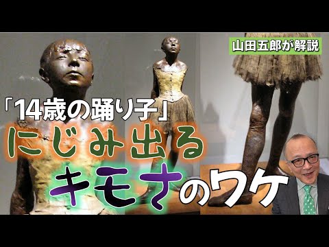 ヒラコイデアについて詳しく解説