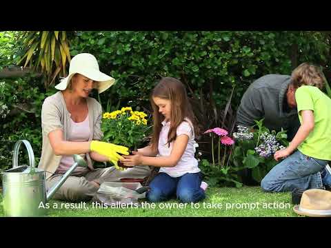 GREEN GUARDIAN    WORLD YOUTH STEM INVENTION INNOVATION  #WYSII2024