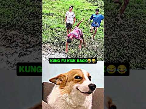 Kung Fu Kick Back😂😂 Part 48 #funny