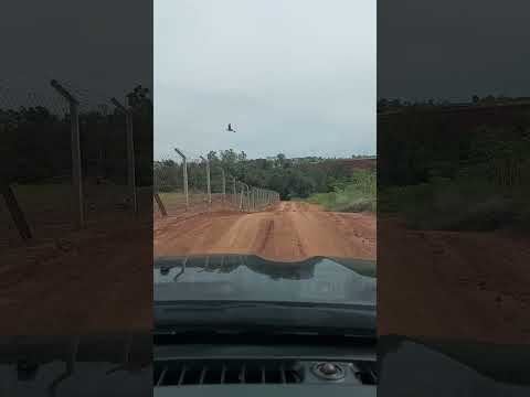 Rural de Cidade Gaúcha PR.