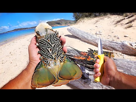 Lobster Cooked 2 ways, Surviving From The Ocean  - Solo Camping An Uninhabited Island - Part 2