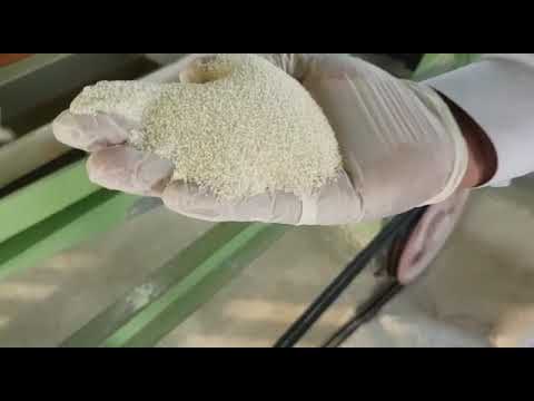 SUJI : SEMOLINA MACHINE AND ITS PROCESS