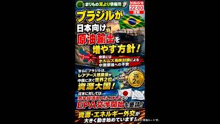 日本の原油ルート激変？ブラジルが急接近 #ニュース解説 #一分でわかる #時事ネタ #国際ニュース #ブラジル #原油 #レアアース