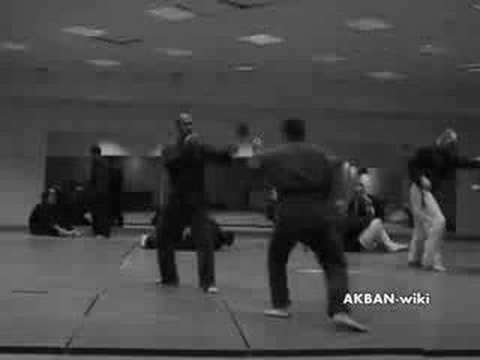 Kyogi no kata, Koto ryu