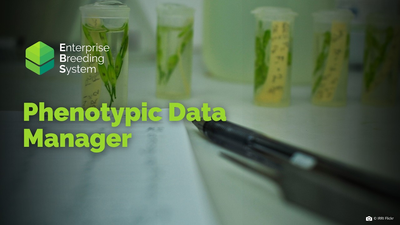 EBS BA: Phenotypic Data Manager