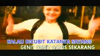 Download lagu Cubit Cubitan - Elvy Sukaesih mp3