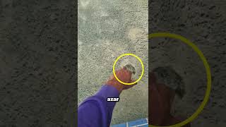 Download lagu This is how you clean a pool in seconds! mp3