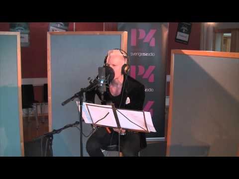 Swedish Radio SR - Liquor Store Blues, Acoustic Cover