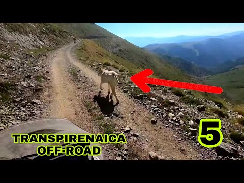 5⛰️De SORT a TERNERITO🐄🐮 Transpirenaica Off road en Moto🚀💨