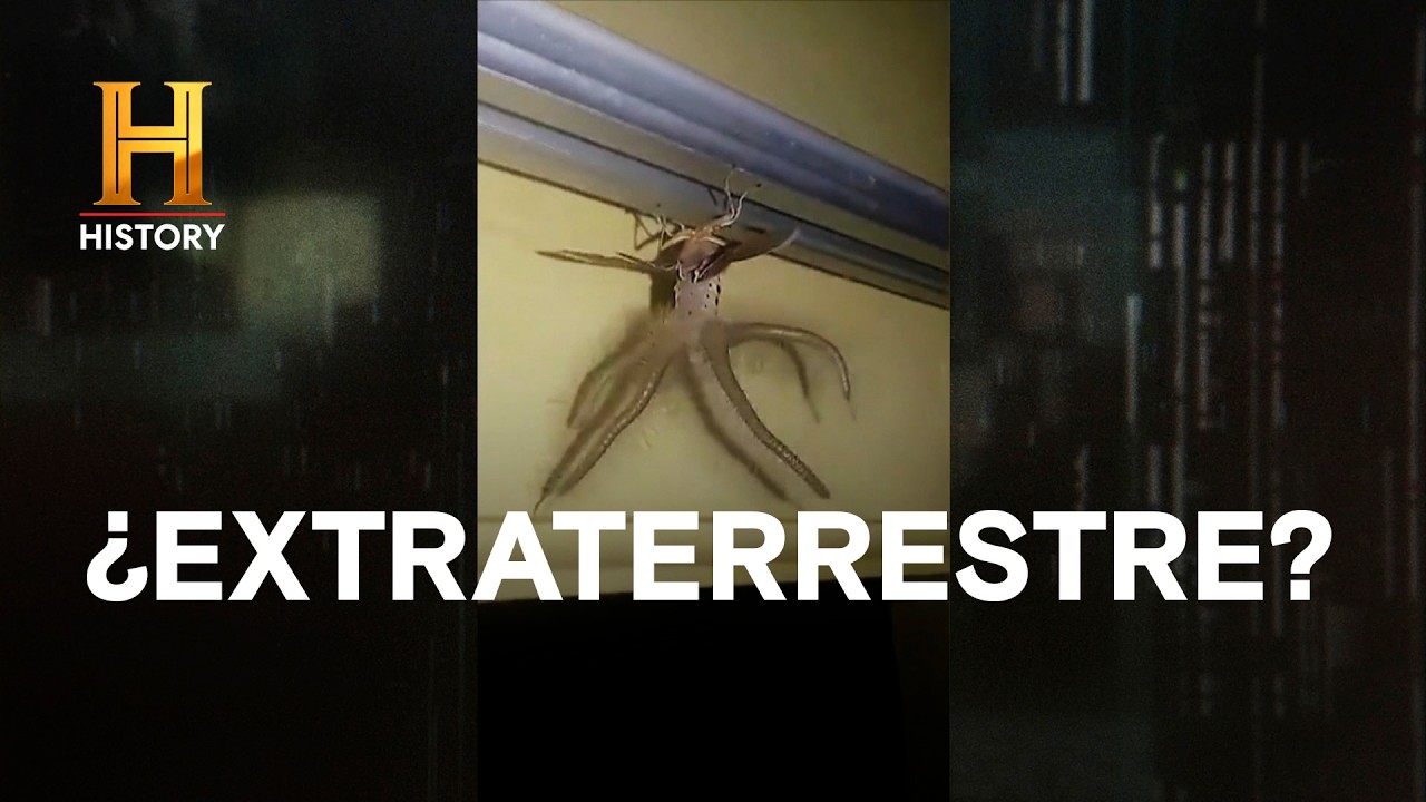 ¿MUTACIÓN ANIMAL O UN EXTRATERRESTRE? - LA EVIDENCIA ESTÁ ENTRE NOSOTROS