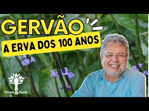 GERVÃO A ERVA DOS 100 ANOS - PLANTAS & SAÚDE