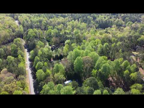 MORNING 041014 BIG OAK 4K