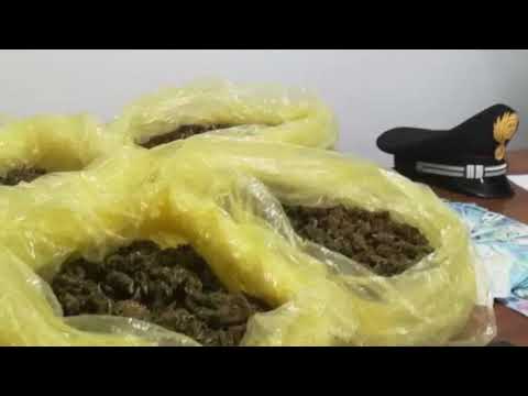 CC Sanluri operazione antidroga 14 11 20