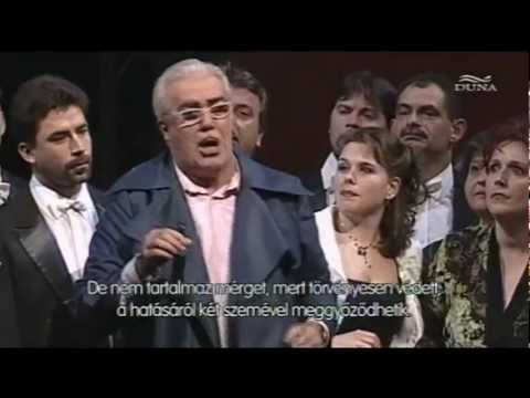 Donizetti: L'elisir d'amore - Udite, udite, o rustici (Enzo Capuano)