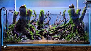 #299 Membuat Aquascape Indonesian style tank 120cm