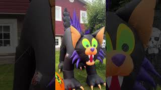 2012 inflatable 10ft cat 