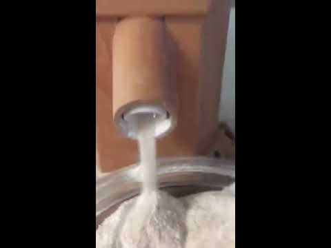 download lagu mp3 mp4 Organic Whole Wheat Berries, download lagu Organic Whole Wheat Berries gratis, unduh video klip Organic Whole Wheat Berries