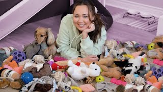 MY DOG PLAYS WITH 100 TOYS AT ONCE