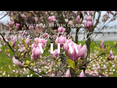 The Knitty Stew V I E W - VLOG - Victoria, British Columbia CANADA