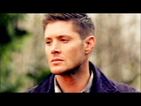 Team Free Will - Fight Song  [Angeldove]