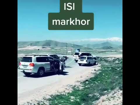 PAK ISI live Action | Pak Army Clips | Pak Army video