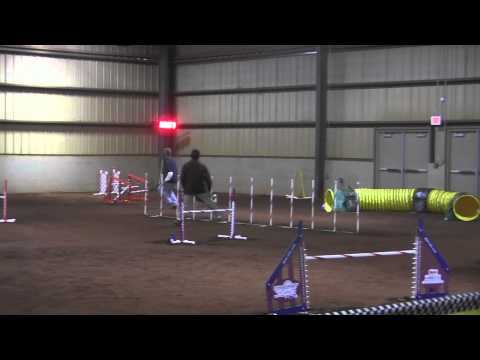 20131124 Cynosport Team Jumpers