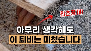토양발효제를 모르는 분께는 공개할 수가 없습니다 #에너지농법 #탄소농업 #유기농업