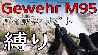 Gewehr M95でアイアンサイト縛り -BattlefieldV