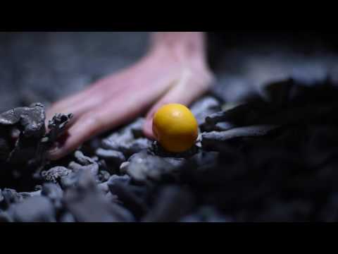 Installation 4.4 Collaboration Elise Guillaume & Joachim Froment