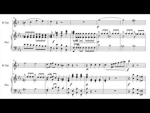 Haydn - Trumpet Concerto, 1st Mov. (piano accompaniment)