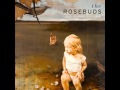 The Rosebuds - Limitless Arms 