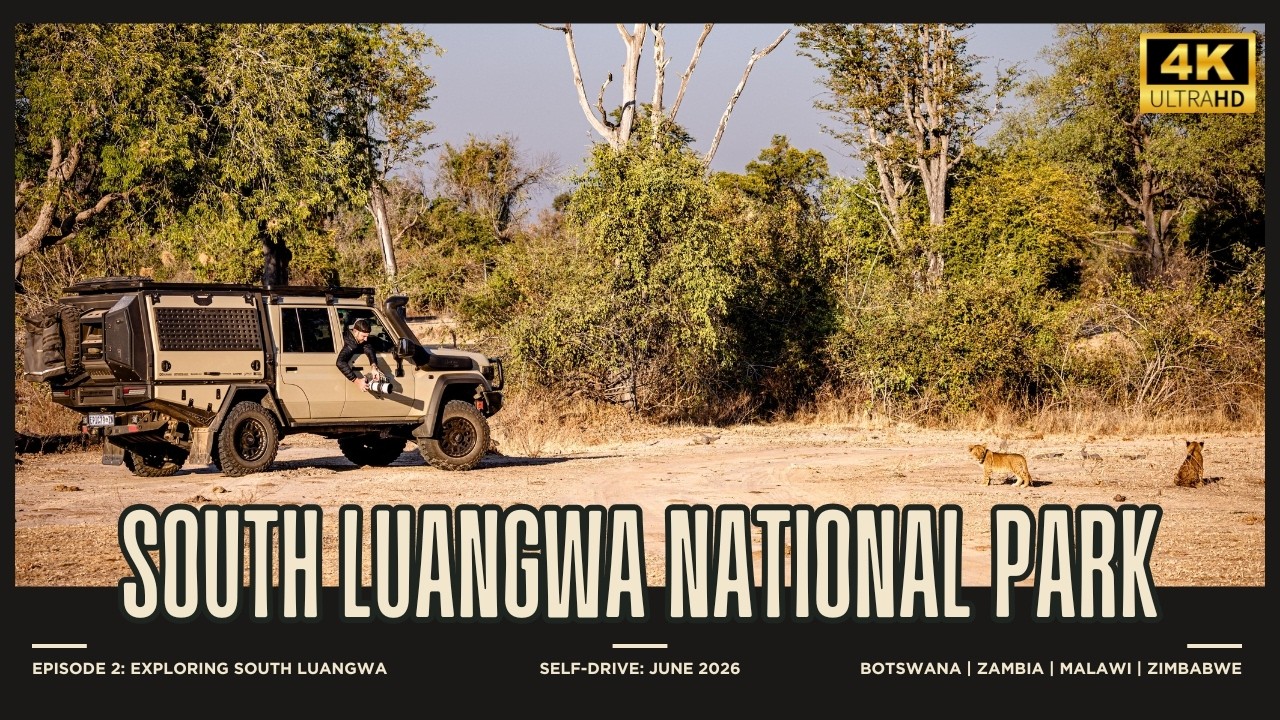Episode 2: Exploring South Luangwa | Self-Driving Zambia | Wildlife Camp