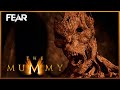 The Mummy Awakens The Mummy 1999 Fear