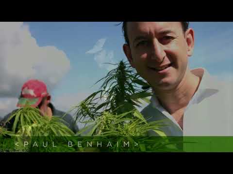 Конопляний пластик: Пол Бенхайм про майбутнє матеріалів