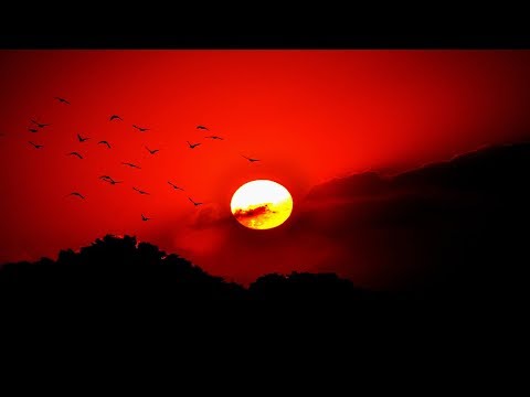 Ruckspin & Quark – Sunshine