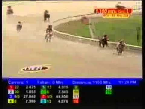 1era Carrera Valencia Viernes 11 de Julio Alergico