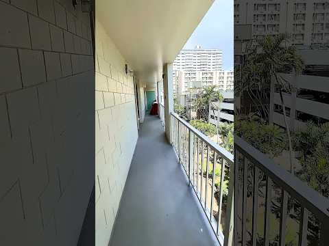 Small Dog Friendly Waikiki Studio property video
