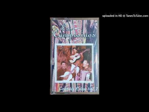 Enganadorita - Los Campesinos