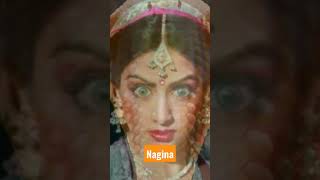 Download lagu nagin Bani Sridevi π nagin lahra Nagina film ka π₯π―π mp3 Download lagu nagin Bani Sridevi π nagin lahra Nagina film ka π₯π―π mp3