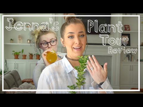 House Plant Collector Reacts to Jenna Marbles Plant Tour: Tipsy Edition