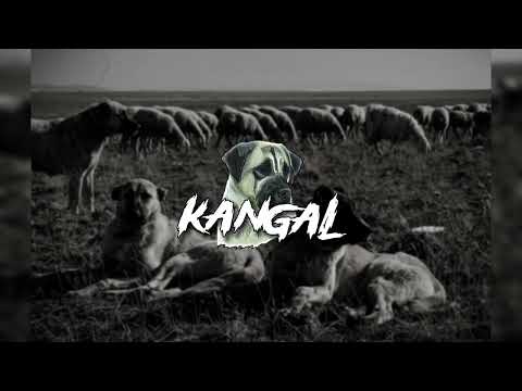 Balkan Drill Beat "Kangal'' Dark Ethnic Music ||Prod Karava||