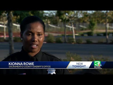 Teen arrested on animal cruelty charges following cat deaths investigation in Orangevale