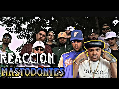 ZEM P X AKAPELLAH MASTODONTES (PROD BY FAKER ) DAMELUUREACCIONA #akapellah #zemp #hiphop