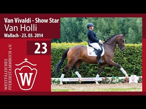 23 Van Holly  Wallach v.Van Vivaldi - Show Star